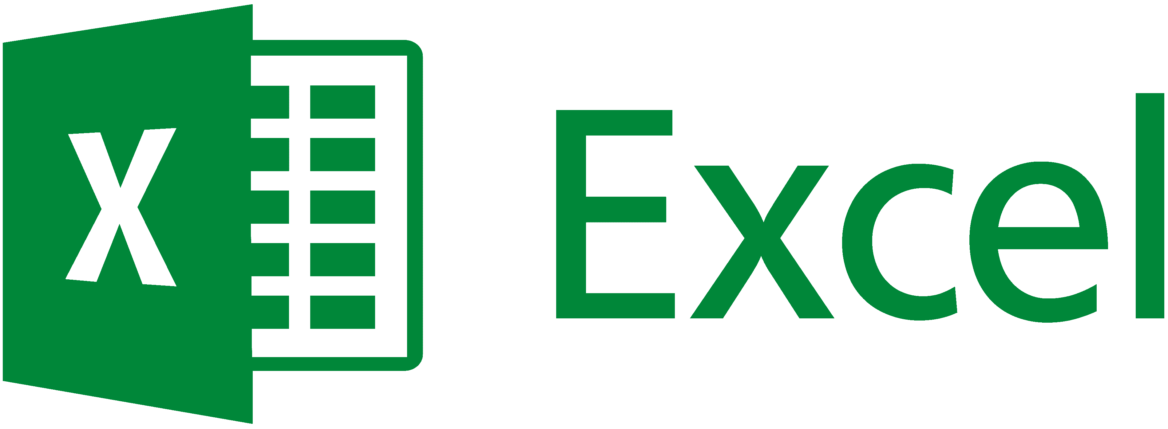 Ms Excel Logo